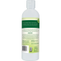 Bac-Out Carpet Stain + Odor Remover - 16 Fl Oz