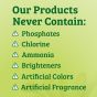 Bac-Out Carpet Stain + Odor Remover - 16 Fl Oz